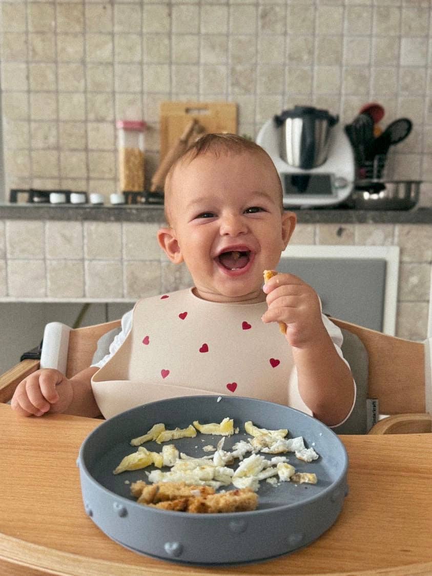 Placa Ina com ventosa (cinza pérola)